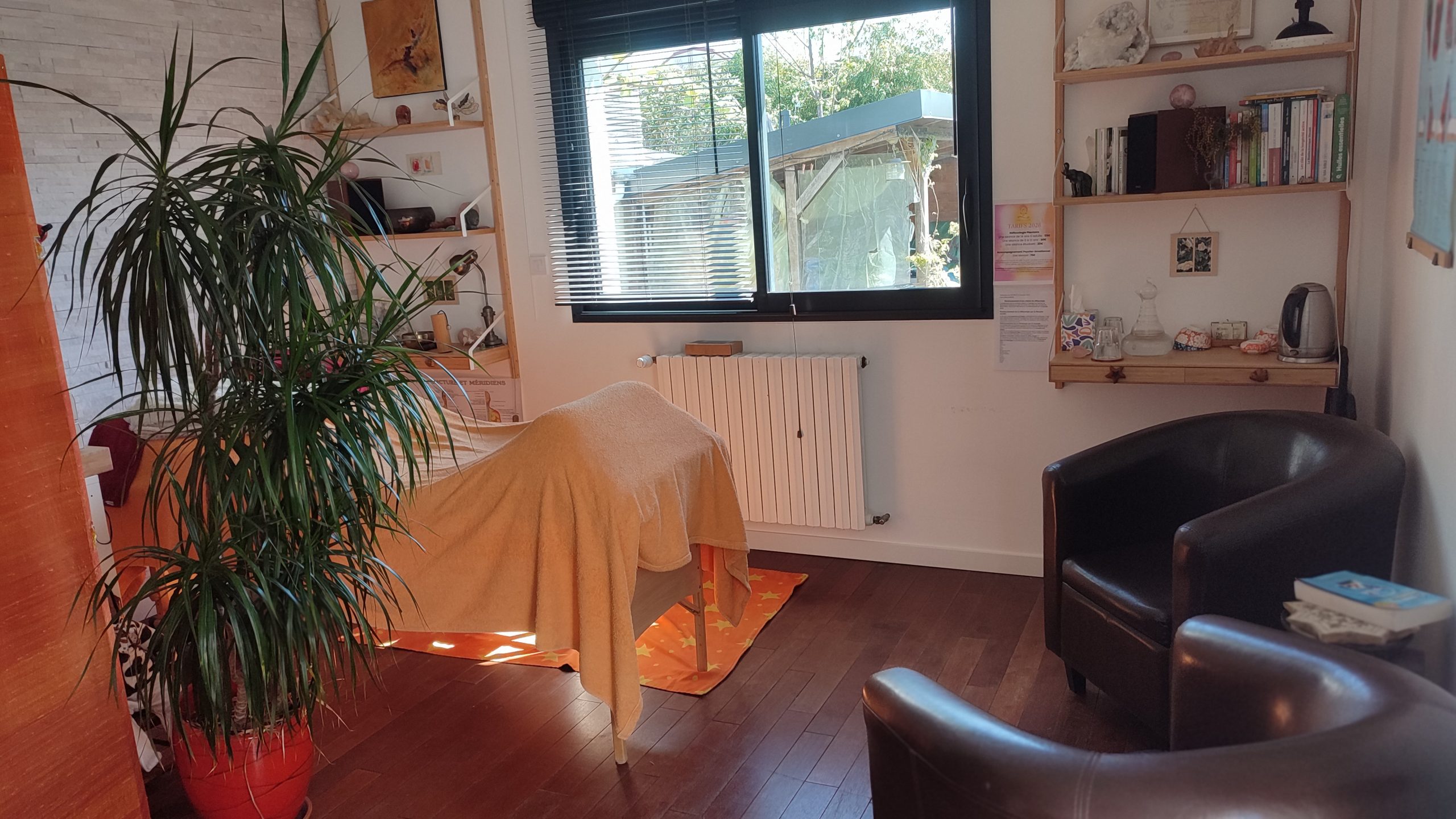 Photo du cabinet de réflexologie de Saint Sébastien sur Loire. premier plan l'amorce Un coin pour se poser, un yucca et une table de soin , une fenêtre donnant sur le jardin, une ambiance chaleureuse